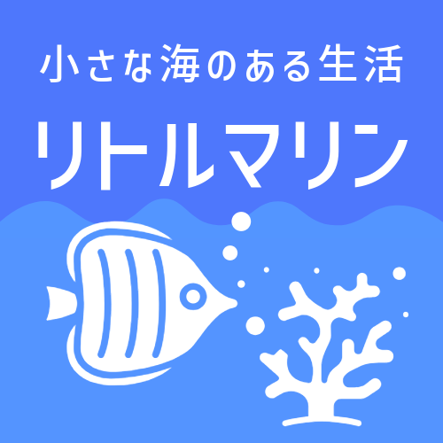 小さな海のある生活